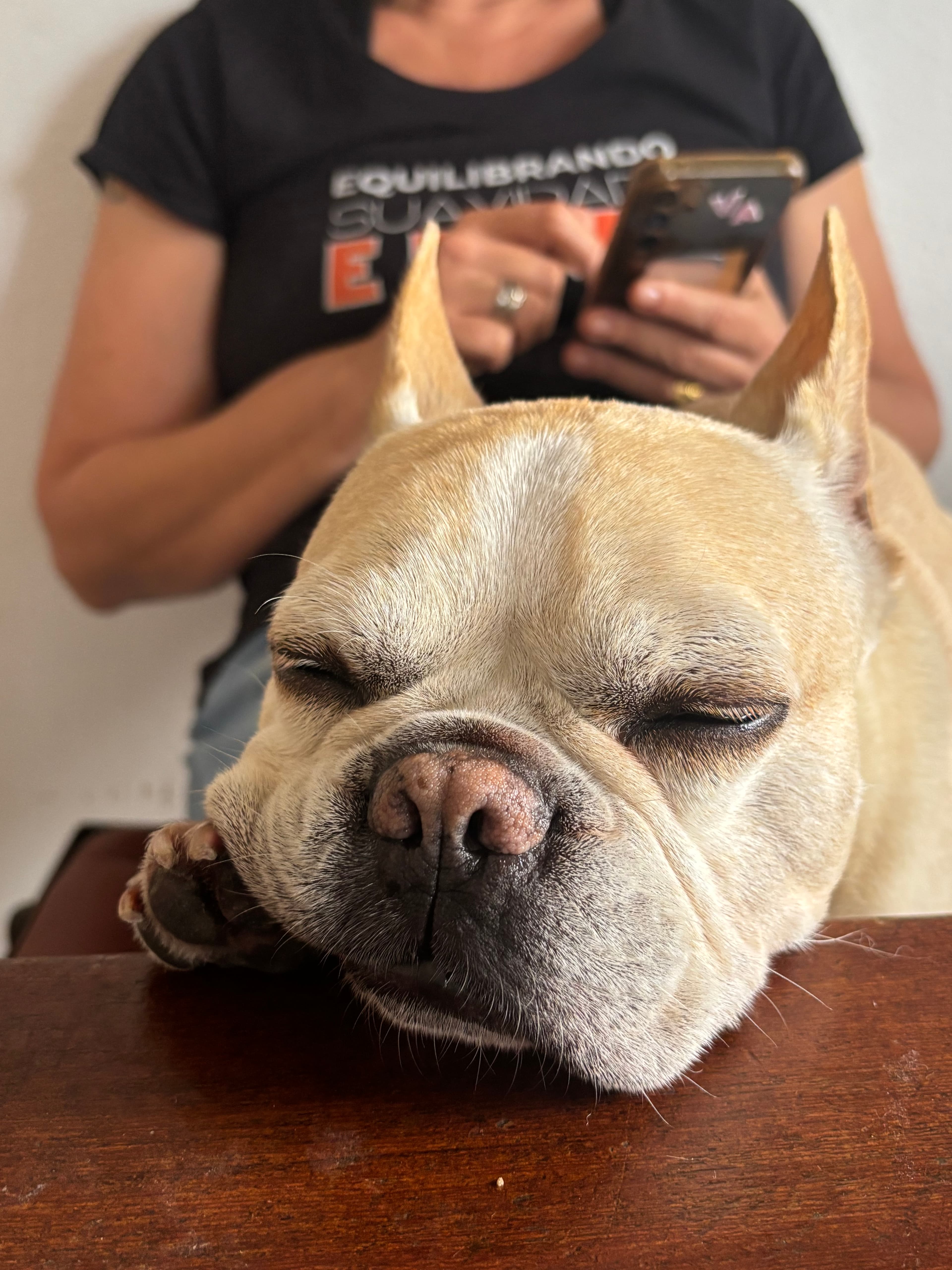 Batatinha
